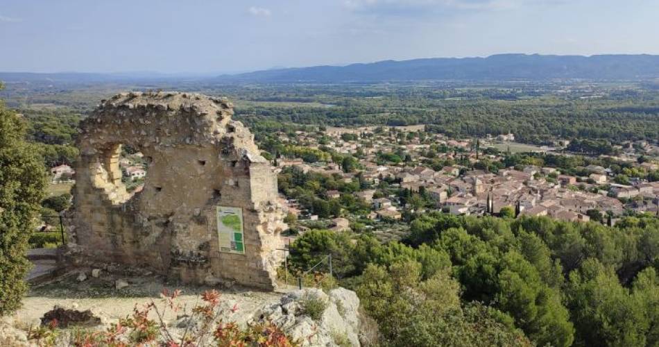 Circuit en pays vaudois et garrigue@Destination Luberon