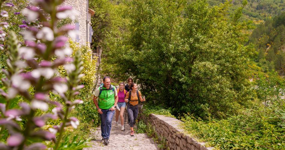 Festival „Ventoux Saveur“ – Wanderungen und kulinarische Genüsse am Fuße des Ventoux@Les chemins de Pierre