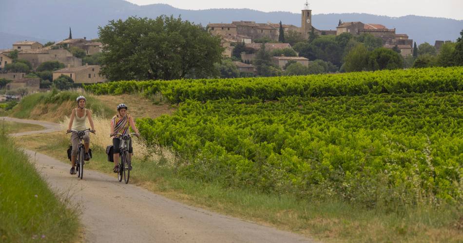 Ventoux Saveurs Festival - Gourmet Bike Tour@Parc du Mont-Ventoux