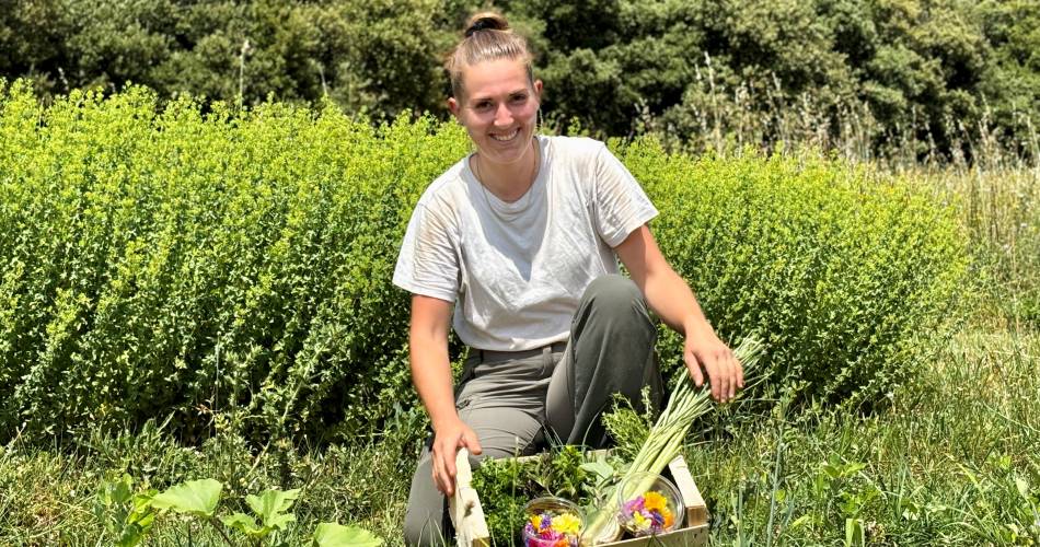 Festival Ventoux Saveurs : Découverte et dégustation de plantes aromatiques et médicinales@PNR Ventoux