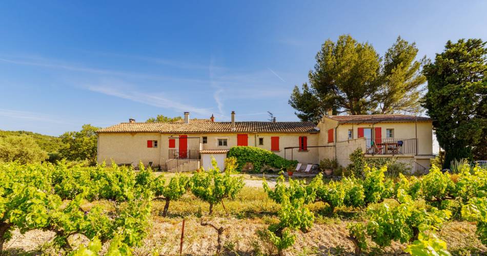 Festival Ventoux Saveurs : A table avec le Ventoux@Flaccomio-we go