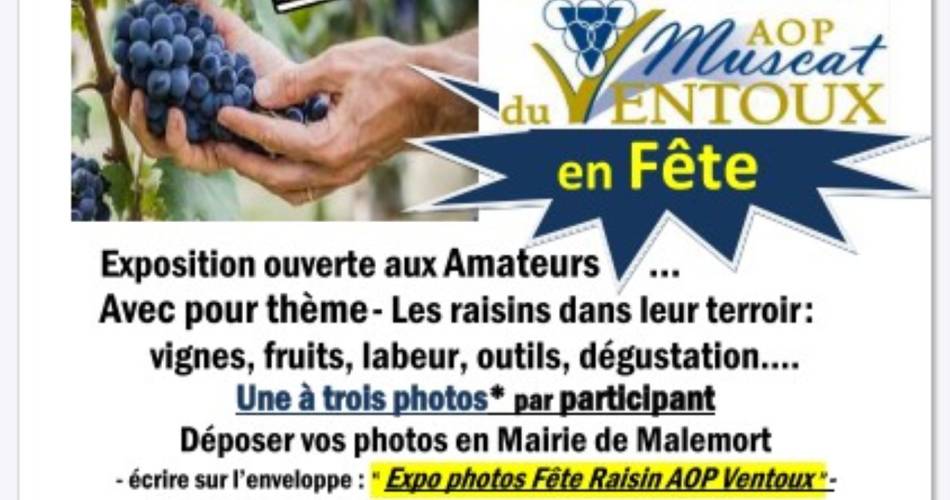 Exposition photos "Les raisins dans leur terroir".@©Association etincelles