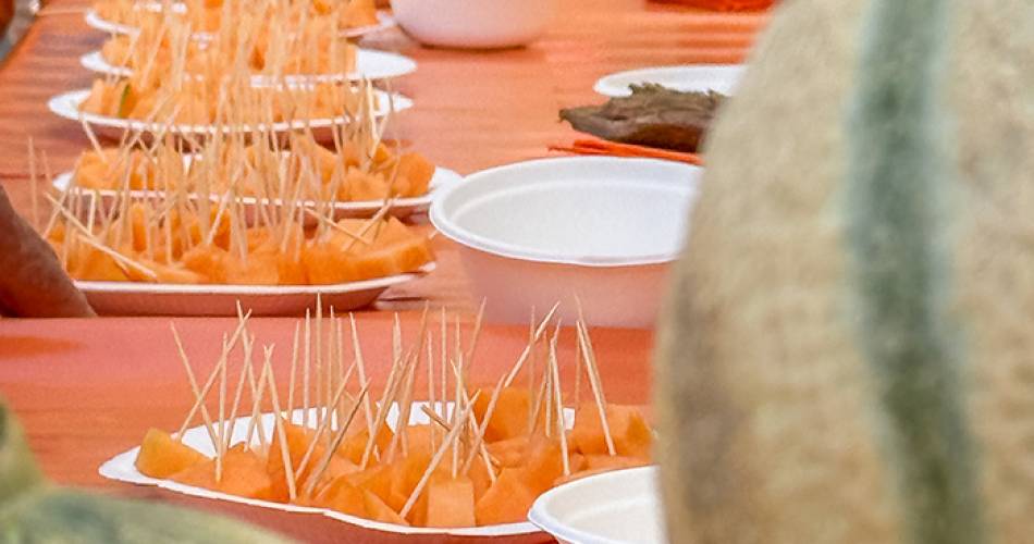Conférence : Le melon se la raconte@La Baptistine de Gordes