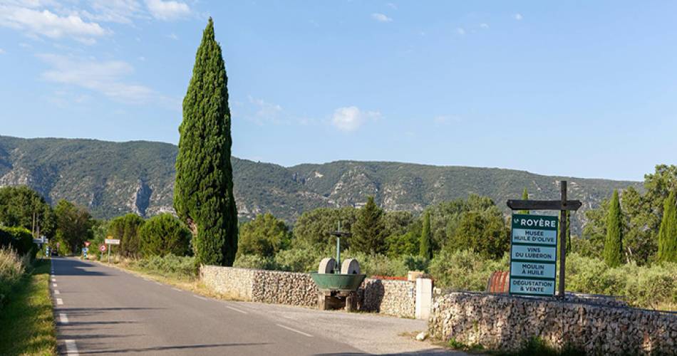 Balade gourmande autour de l'huile d'olive@Destination Luberon