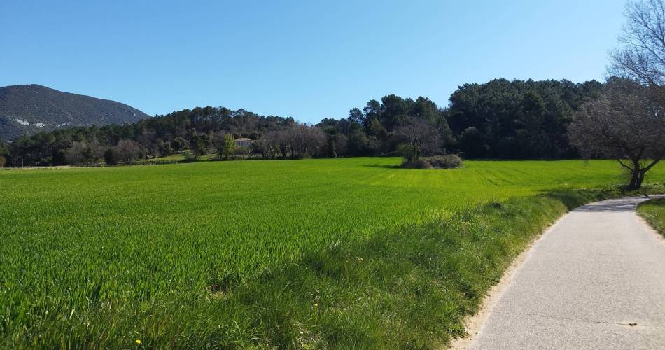 CASENEUVE - Du Calavon à la Dôa@©Pauline Rimbert - PNR Luberon