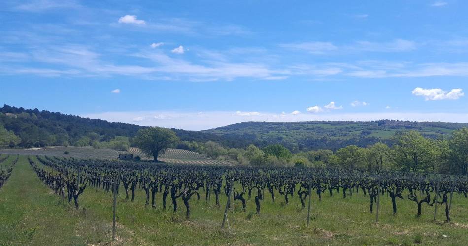 CASENEUVE - Les ocres depuis Haute Blace@©Eric Garnier - PNR Luberon