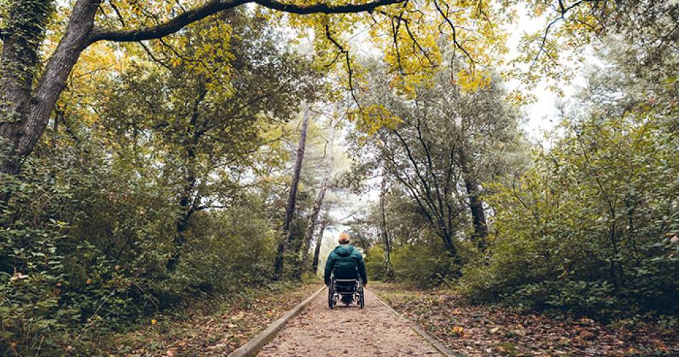 Journées Nationales Tourisme et Handicap : Balade sur les traces des oiseaux@Destination Luberon