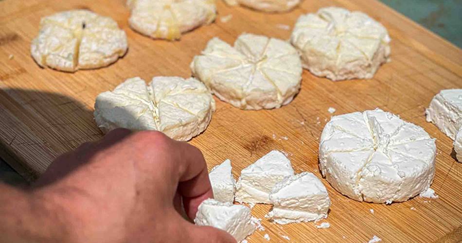 Balade gourmande autour du fromage de chèvre@Destination Luberon