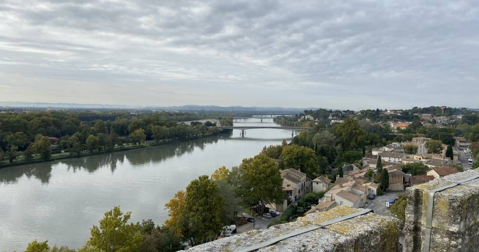 Visite guidée : l'Histoire et le Rhône - Festival «Dans les bras du Rhône»@Marine Guillon