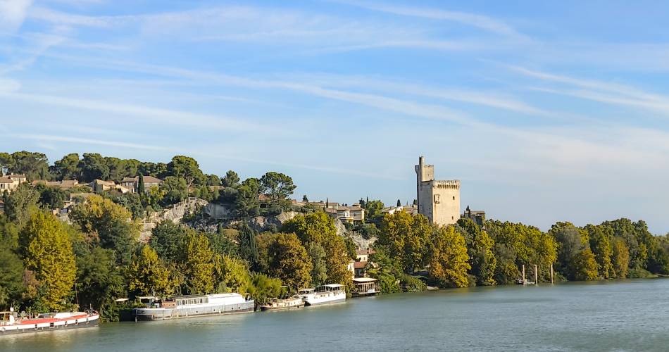 Visite guidée : Villeneuve et les peintres@CPoirier Grand Avignon