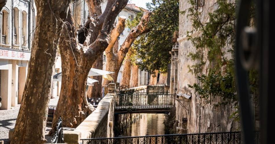 Cycle de visites guidées Avignon intra-muros @©Marie Morin - @perspectivesdevoyage