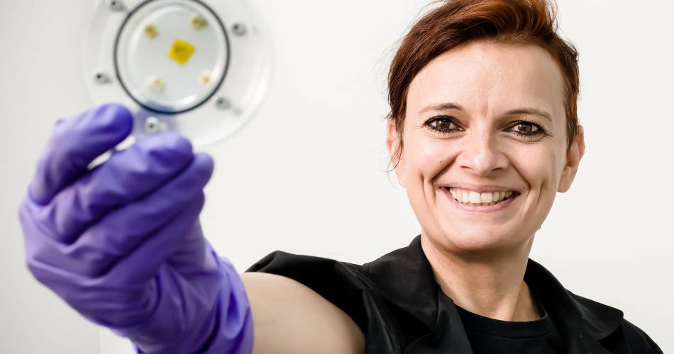 Wetenschappelijke lezingen in het Naturoptère - De paddenstoelen van de Apocalyps@Naturoptère