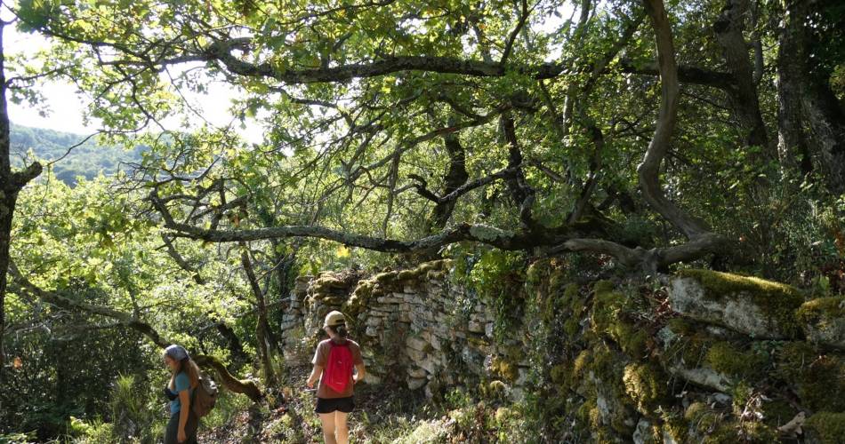 APT - Petit tour de Rocsalière@©Pauline Rimbert - PNR Luberon
