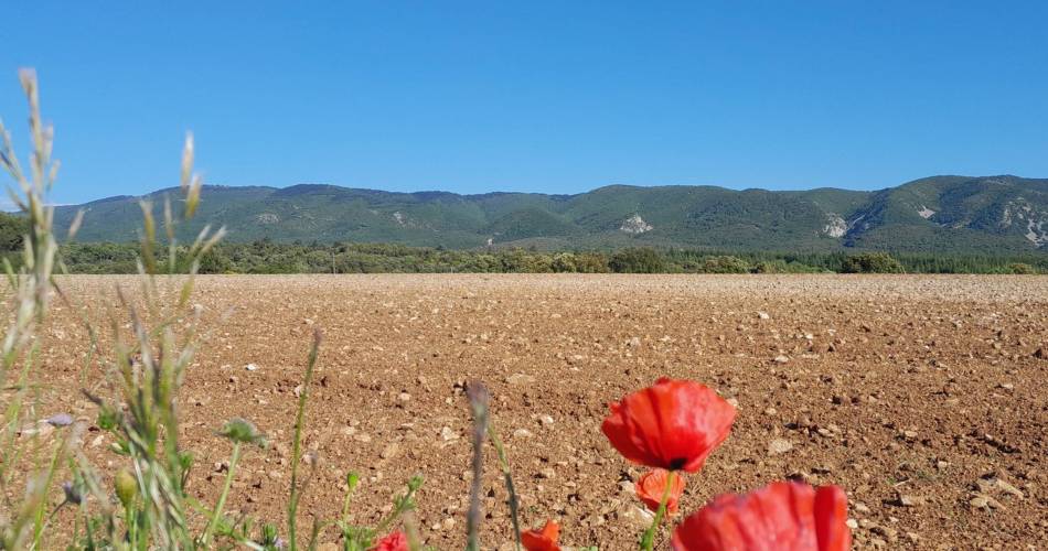 APT - Petit tour de Rocsalière@©Eric Garnier - PNR Luberon
