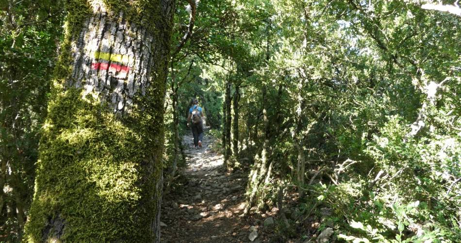 APT - Petit tour de Rocsalière@©Pauline Rimbert - PNR Luberon