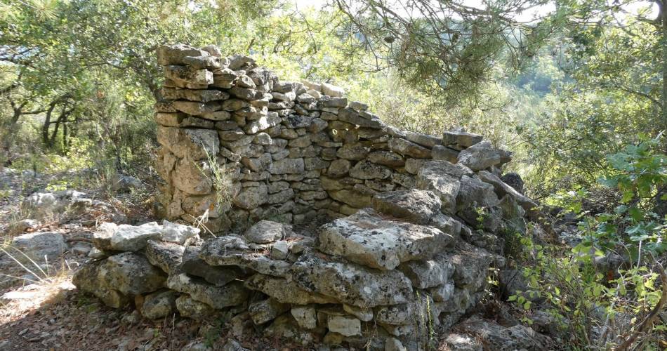 APT - Petit tour de Rocsalière@©Pauline Rimbert - PNR Luberon