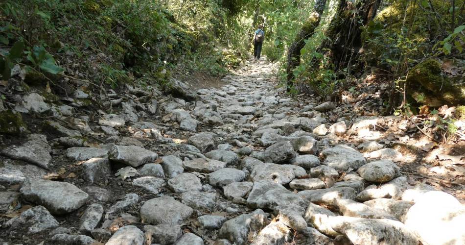 APT - Petit tour de Rocsalière@©Pauline Rimbert - PNR Luberon