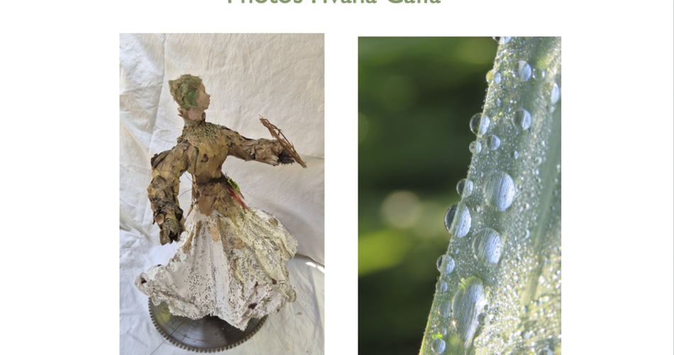 Exposition sculptures et photographies@bainsdouchessaintdidier