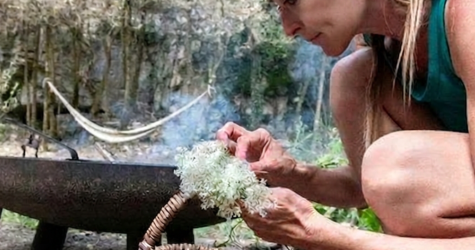 Festival Ventoux Saveurs - Apéro sauvage avec Wacohe et le Moulin de César@Wacohe