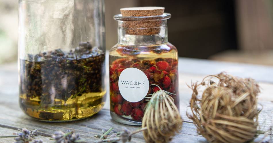 Festival Ventoux Saveurs - Atelier " Plantes et Remèdes" - Wacohe et Le Moulin César@Wacohe