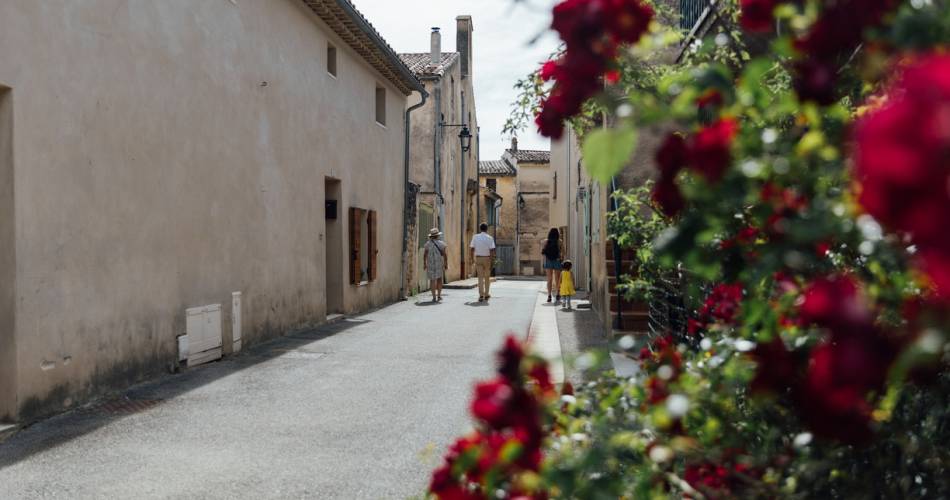 Les Journées Européennes du partimoine à Peypin d' Aigues@Cotelub