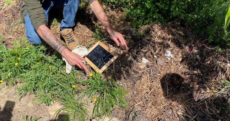 Balade et atelier : autour des plantes sauvages@KBoetto OT GA