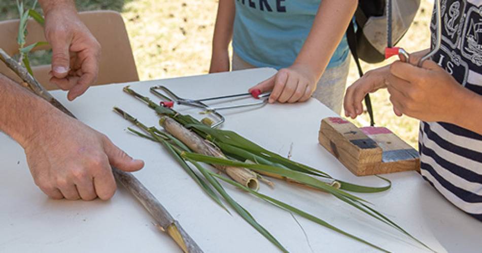 Atelier créatif : observation des petites bêtes étranges des jardins@Alex Nollet La Chartreuse