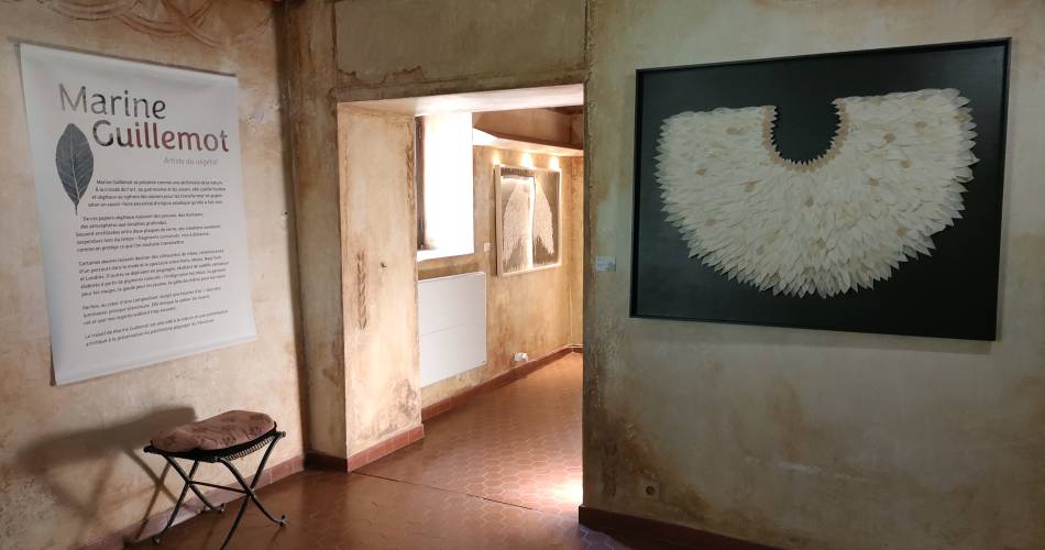 Journées Européennes du Patrimoine (JEP) - Fontaine-de-Vaucluse / Musée Pétrarque@Musée Pétrarque