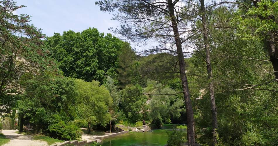 Balade contée de clôture@Département de Vaucluse