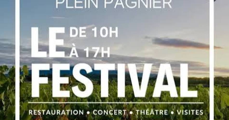 Festival Brin de Culture au Domaine Plein Pagnier@domaine plein pagnier