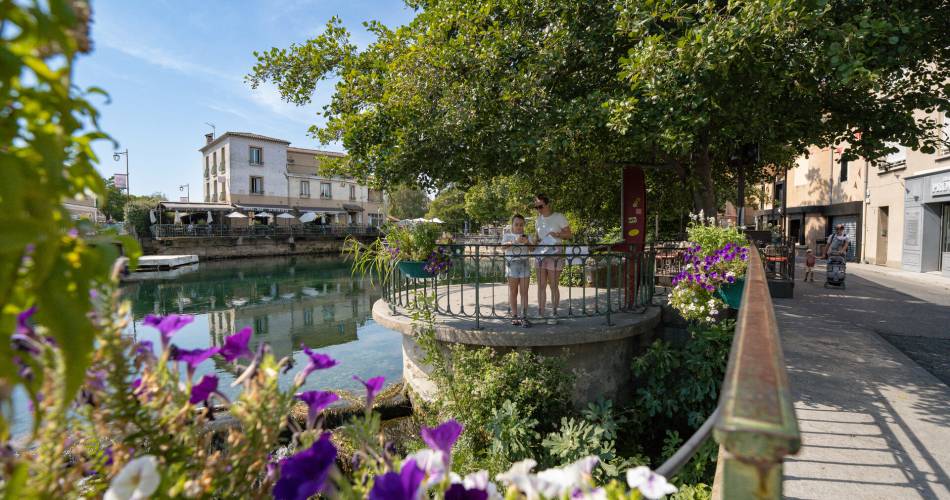 L'Album de l'Antiquaire@Lolie Martinez - Isle sur la Sorgue Tourisme