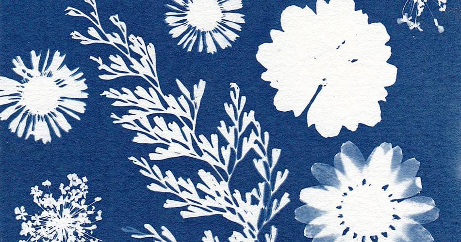 Atelier Cyanotype@©pexel