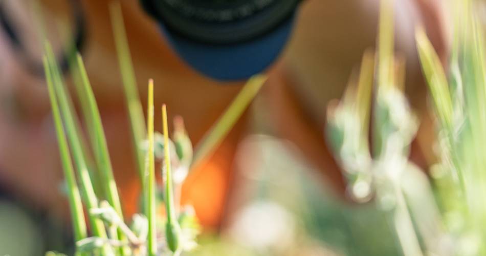 Photo nature - Atelier@Médiathèque de Cabrières d'Avignon