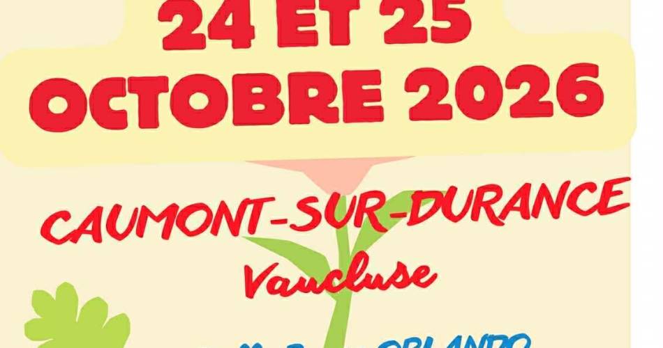 Salon du bien-être et des créateurs@Viva au naturel