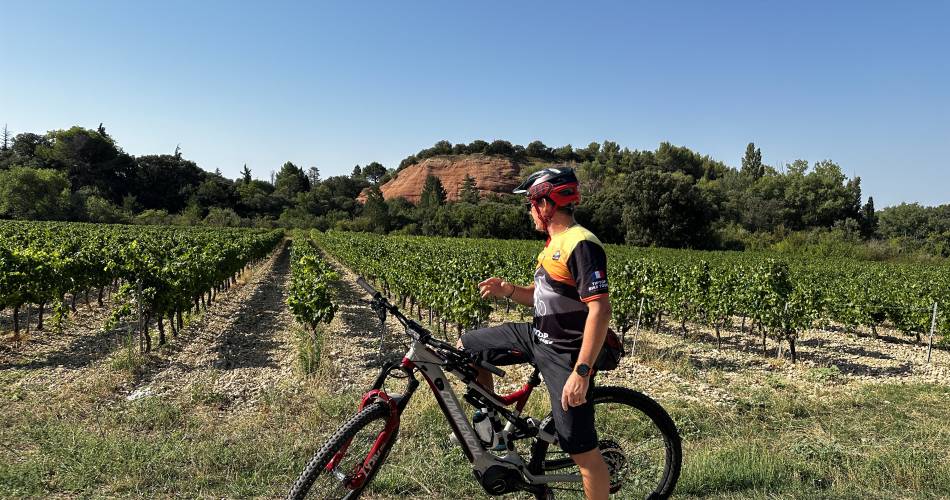 Circuit œnologique en vélo électrique au Mont Ventoux par Tip Top Bike@Tip Top Bike