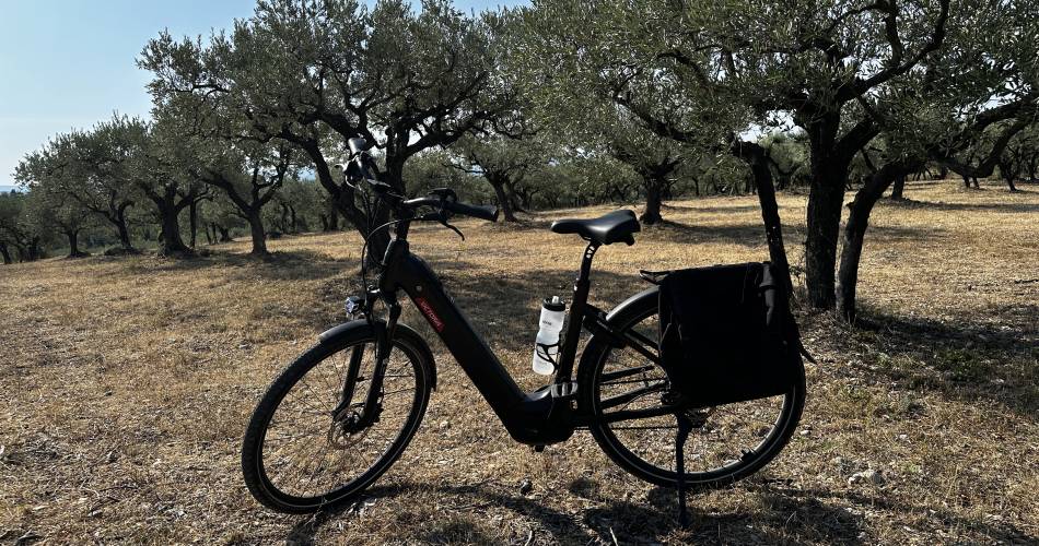 Circuit œnologique en vélo électrique au Mont Ventoux par Tip Top Bike@Tip Top Bike