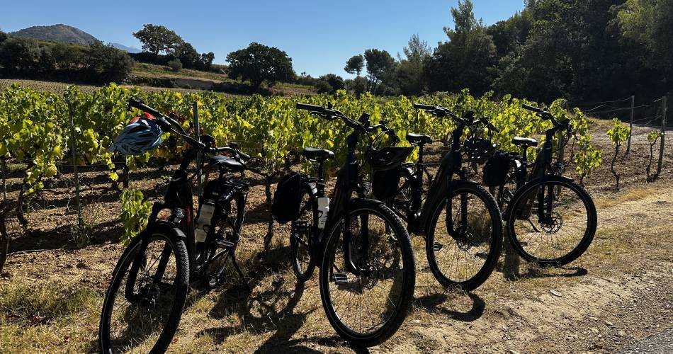 Circuit œnologique en vélo électrique au Mont Ventoux par Tip Top Bike@Tip Top Bike