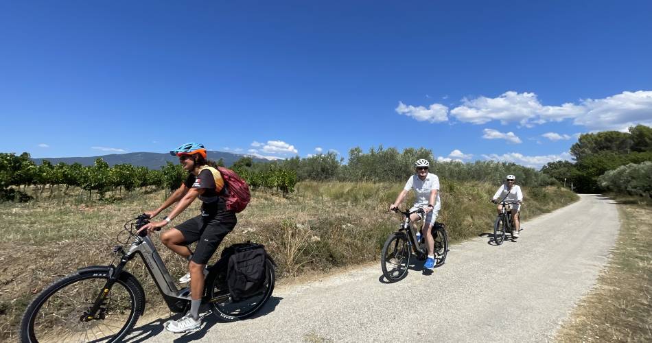 Circuit œnologique en vélo électrique au Mont Ventoux par Tip Top Bike@Tip Top Bike