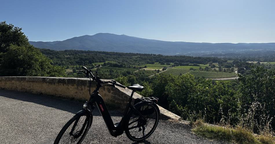 Circuit œnologique en vélo électrique au Mont Ventoux par Tip Top Bike@Tip Top Bike