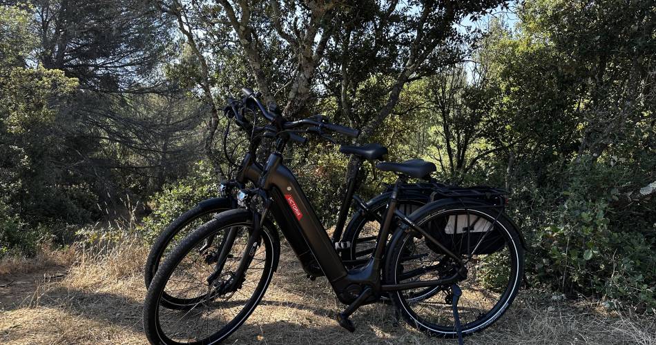 Circuit œnologique en vélo électrique au Mont Ventoux par Tip Top Bike@Tip Top Bike