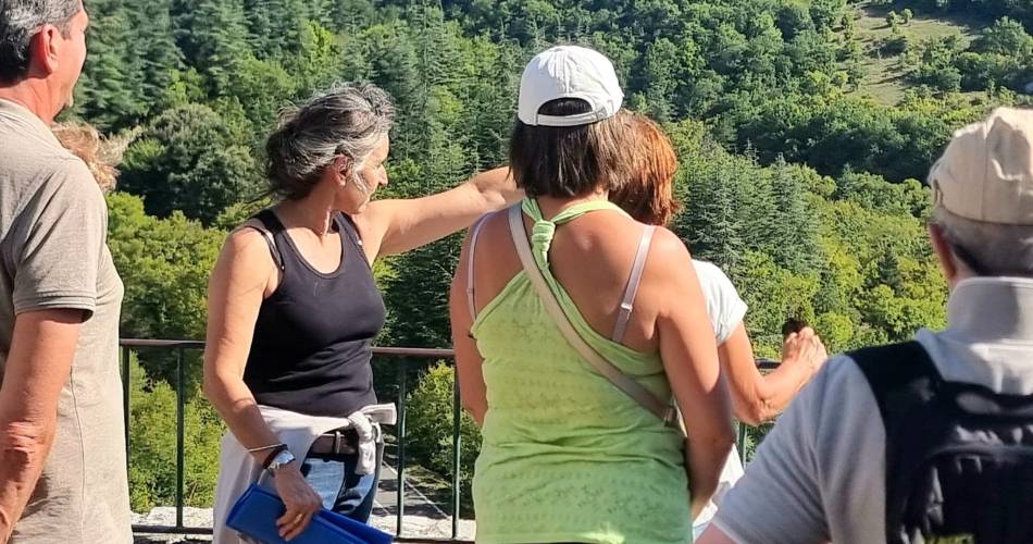 Les journées européennes du patrimoine : Visite guidée du village de Sault@Isabelle Figueras
