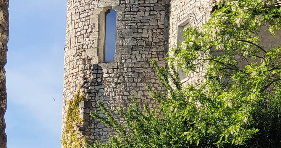 Les journées européennes du patrimoine : Visite guidée du village de Sault@Isabelle Figueras