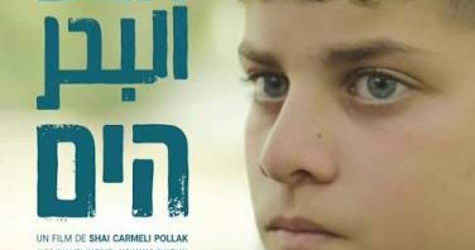 Ciné itinérant : The sea@allociné