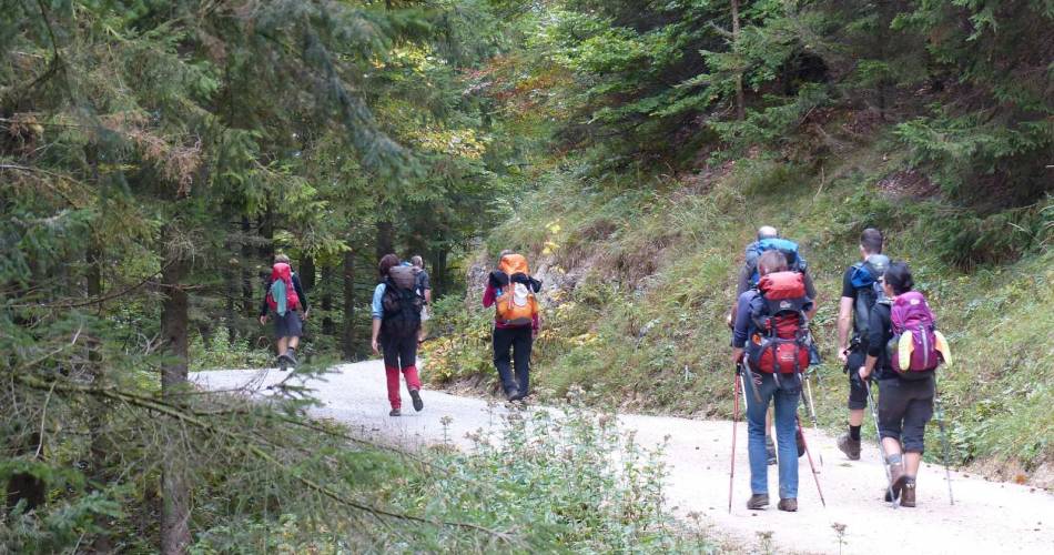 Randonnée pédestre : «Puy Briquon»@Pixabay