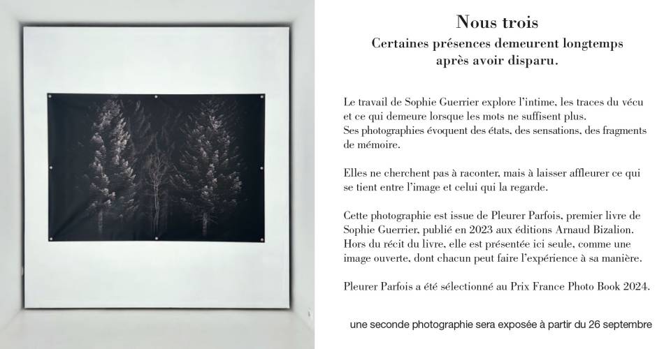 La galerie un lieu une œuvre expose - Sophie Guerrier@galerie un lieu une œuvre