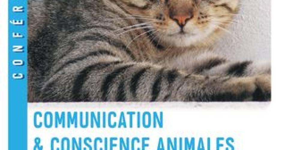 Conférence : Communication et conscience animales@mairie de mazan