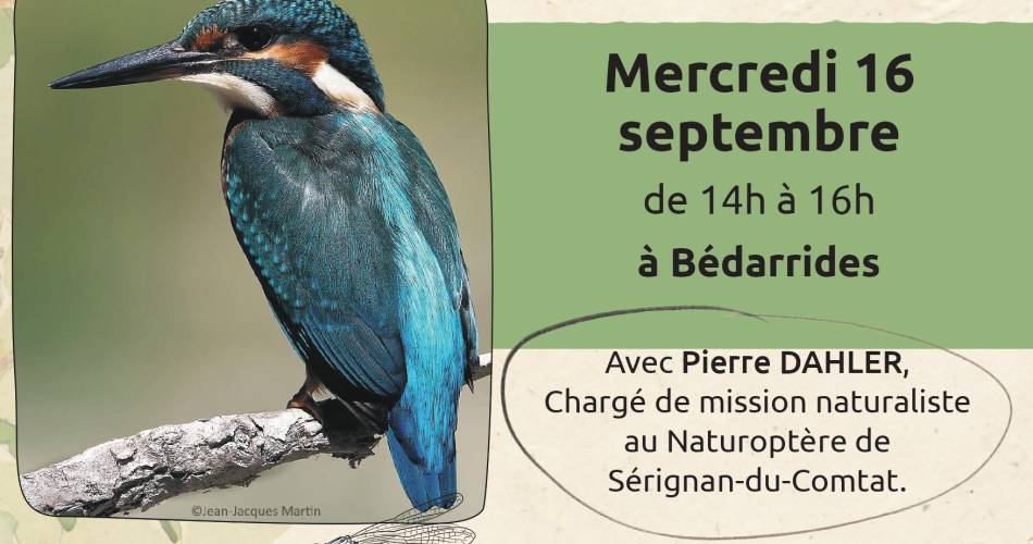 Balade naturaliste - Bords de Sorgue@CASC