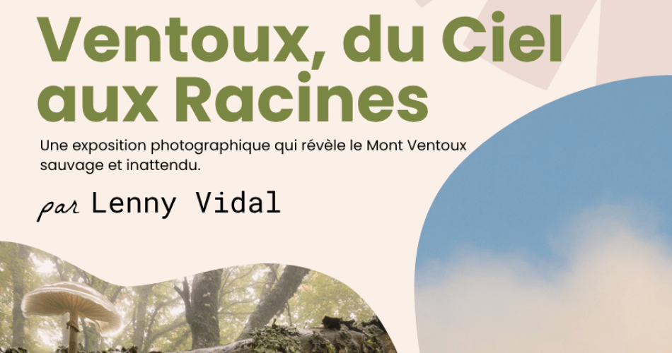Exposition Ventoux, du ciel aux racines@MJC de Cavaillon