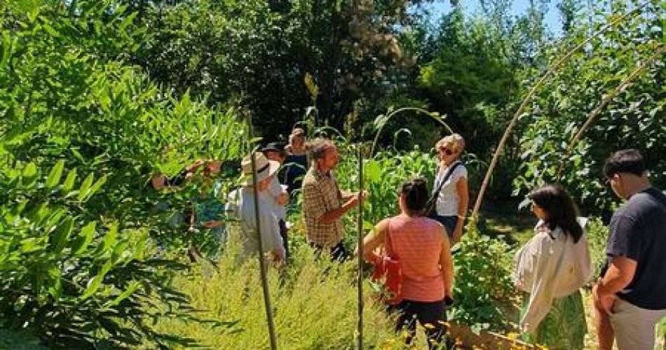 JEP 2026 - Visite guidée du jardin des plantes tinctoriales de Lauris@Mairie de Lauris