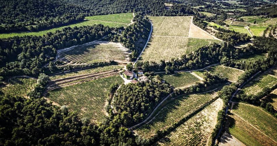 Vignobles en Scène : A la découverte des Vins de Lieux@Domaine des Bosquets